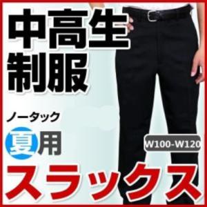 学生服 ズボン 中学生 高校生 中高生 制服 スラックス ノータック 夏用 W100-W120 全国標準型学生服｜schoolcarrots