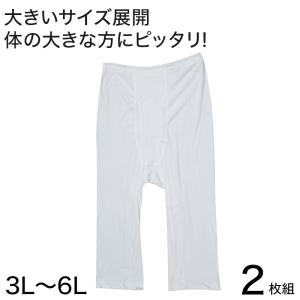 綿100% ロングパンツ 大きいサイズ 2枚組 3L〜6L (下着 綿 ボトム インナー ステテコ ズボン下 メンズ)