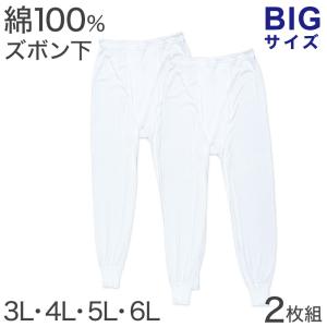 ズボン下 綿100% 大きいサイズ 2枚組 3L...の商品画像