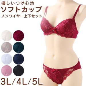 ブラジャー ショーツ セット ノンワイヤー ブラ...の商品画像