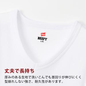 ヘインズ BEEFY-T ビーフィー リブVネ...の詳細画像3