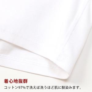 ヘインズ BEEFY-T ビーフィー リブVネ...の詳細画像4