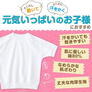 体操服 半袖 体操服半袖 体操着 小学校 小学...の詳細画像1