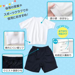 体操服 上下セット 半袖 クォーターパンツ 体...の詳細画像5