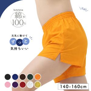 セットアップ JR 新幹線 Tシャツ ハーフパンツ プリント 半袖 半ズボン