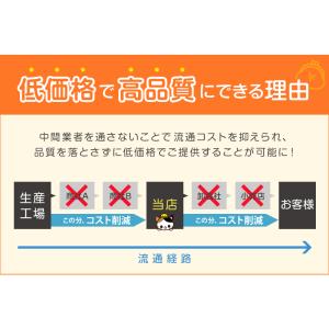 5本指ソックス レディース メンズ スニーカー...の詳細画像3