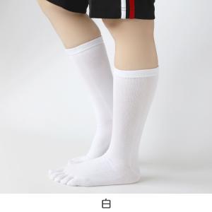 5本指ソックス レディース メンズ ハイクルー...の詳細画像3