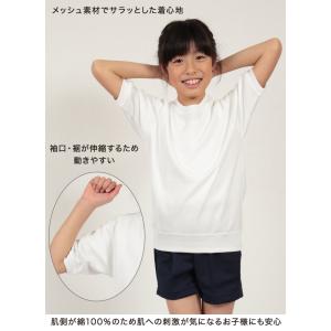 トンボ 体操服 半袖 大きいサイズ 汚れが落ち...の詳細画像4