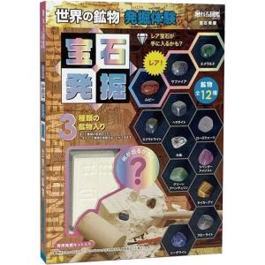 【自由工作】【実験・体験】触れる図鑑 宝石発掘体験キット 「世界の宝石原石 発掘体験」◆数量限定販売◆｜スクールTown