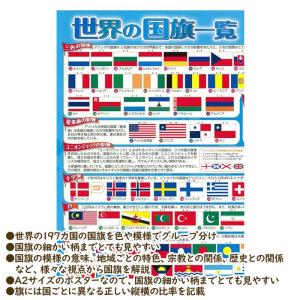 東京カートグラフィック 世界の国旗一覧 A2 ...の詳細画像1