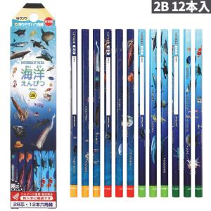 クツワ 海洋えんぴつ 2B とがデザインされた学べる鉛筆 1ダース12本入り