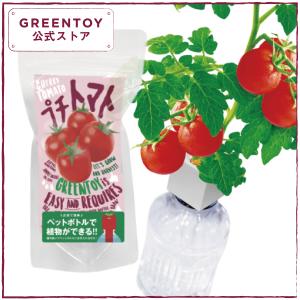 公式 Greentoy 栽培キット グリーントイ プチトマト オフィシャルショップ トマト ペットボトル 栽培 水耕栽培 室内 園芸 野菜 簡単 おしゃれ Gtsc001 室内園芸専門店schwinsen Yahoo 店 通販 Yahoo ショッピング