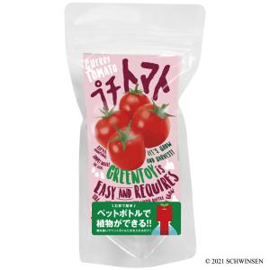 公式 GREENTOY 栽培キット グリーント...の詳細画像2