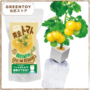 公式 GREENTOY 栽培キット グリーントイ 黄金トマト オフィシャルショップ トマト ペットボトル 栽培 水耕栽培 室内 園芸 野菜 簡単 おしゃれ