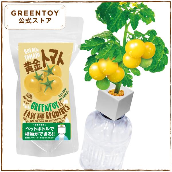 公式 GREENTOY 栽培キット グリーントイ 黄金トマト オフィシャルショップ トマト ペットボ...