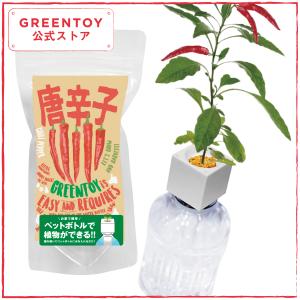 公式 GREENTOY 栽培キット グリーントイ 唐辛子 オフィシャルショップ トウガラシ ペットボトル 栽培 水耕栽培 室内 園芸 野菜 簡単 おしゃれ｜室内園芸専門店SCHWINSEN-Yahoo!店