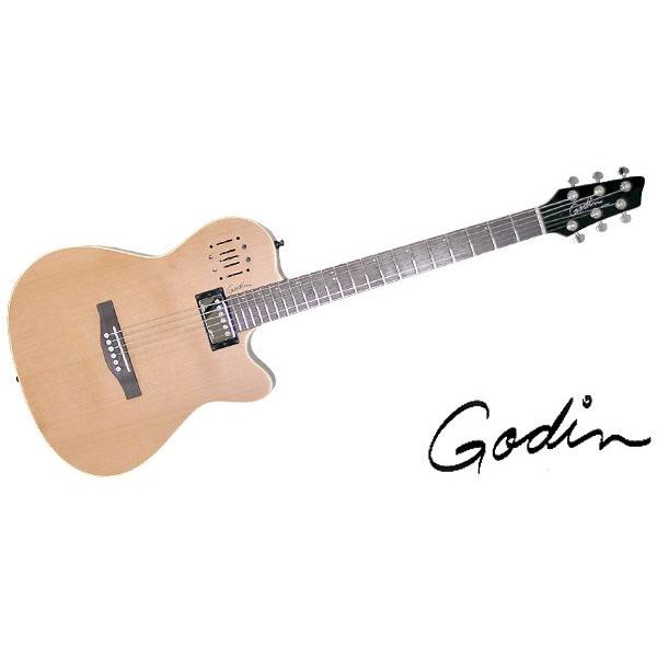 GODIN GUITAR（ゴダンギター） エレアコ A6 ULTRA Natural SG ギター