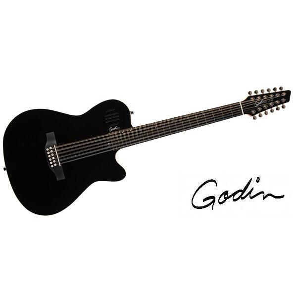 GODIN GUITAR（ゴダンギター） エレアコ A12 Black HG ギター