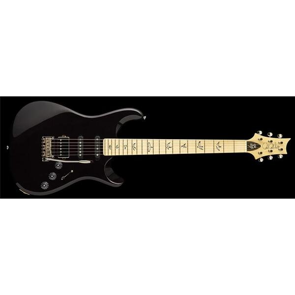 Paul Reed Smith (PRS)（ポールリードスミス） その他ギター FIORE Blac...