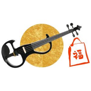 SH（サウンドハウス） バイオリン初心者セット 2023年福袋 エレキバイオリンお楽しみセット｜scien-store