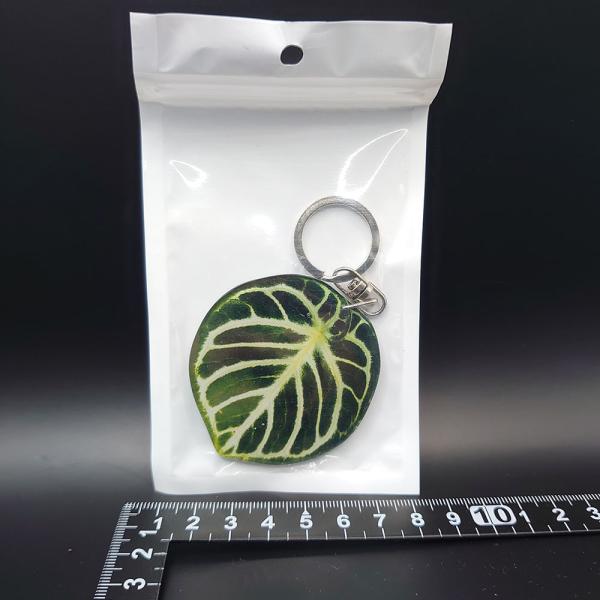 アンスリウム　ドラヤキ　Anthurium &apos;DRAYAKI&apos;【アロイドキーホルダー】