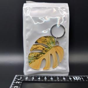 モンステラ イエローマリリン Monstera ...の商品画像