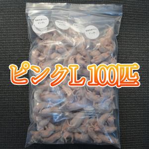 国産冷凍マウス ピンクL 100匹　ScienceFarm