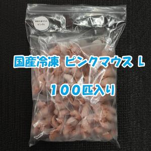 ★ゆき　Y’s studio★国産 冷凍マウス リクエスト品 国内産冷凍マウス / PETMAP