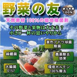 野菜の友 食品洗浄剤環境除菌材食の安全対策ミネ...の詳細画像4