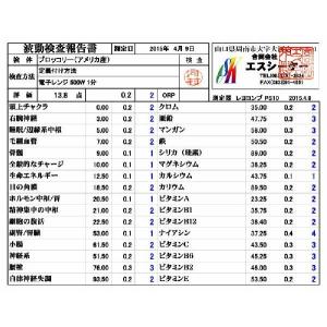 レンジプロテクター〔シリコンマット製24×26...の詳細画像2