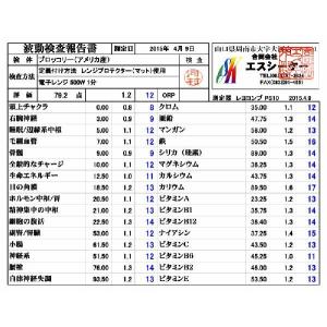 レンジプロテクター〔シリコンマット製24cm円...の詳細画像3