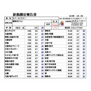 スペースバリヤージオパシックストレス対策・電磁...の詳細画像5