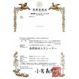 Eプロテクター通信端末用〔シート貼付タイプ〕【...の詳細画像1