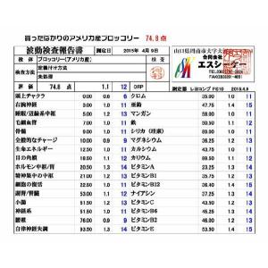 IHプロテクター〔マットタイプ〕[22cm]訳...の詳細画像2