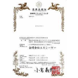 Eプロテクター家電機器用(3本セット品)パソコ...の詳細画像5