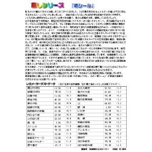 癒シール 5枚セット品生体エネルギー放射シール...の詳細画像3