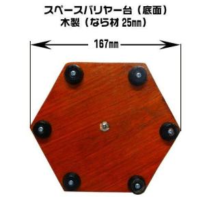スペースバリヤーダイナミック〔1ct人口ダイヤ...の詳細画像2