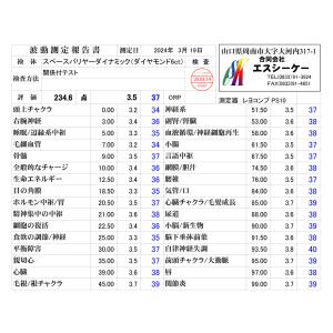 スペースバリヤーダイナミック〔1ct人口ダイヤ...の詳細画像5