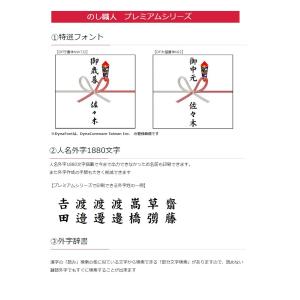 のし職人スタンダード人名外字フォント付き_CD...の詳細画像1