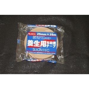 透明養生テープ 25m 60本入 布テープ付 現場のチカラ 掲示用 高透明養生テープ 幅25mm×長さ25m 積水化学工業 1