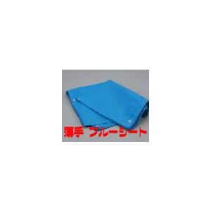 ブルーシート 約10m×10m 実寸約9.75x9.9 ハトメ数44【防水