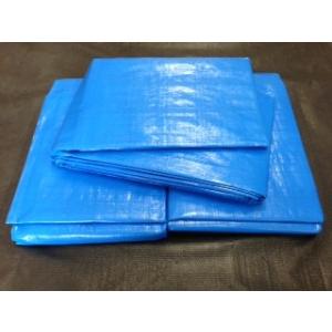 （厚手♯3000番手）　ブルーシート　呼称10Ｍｘ10Ｍ 　実寸約9.75Ｍｘ9.9Ｍ　ハトメ数44