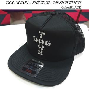 DOG TOWN ドッグタウン DTxSUICIDAL MESH FLIP HAT｜scrape
