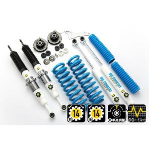 TANABE タナベ リフトアップスプリング DEVIDE UP210 1台分