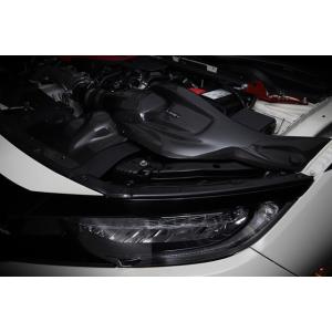 BLITZ カーボンインテークシステム シビックタイプR FK8 ホンダ(27023) / ブリッツ...