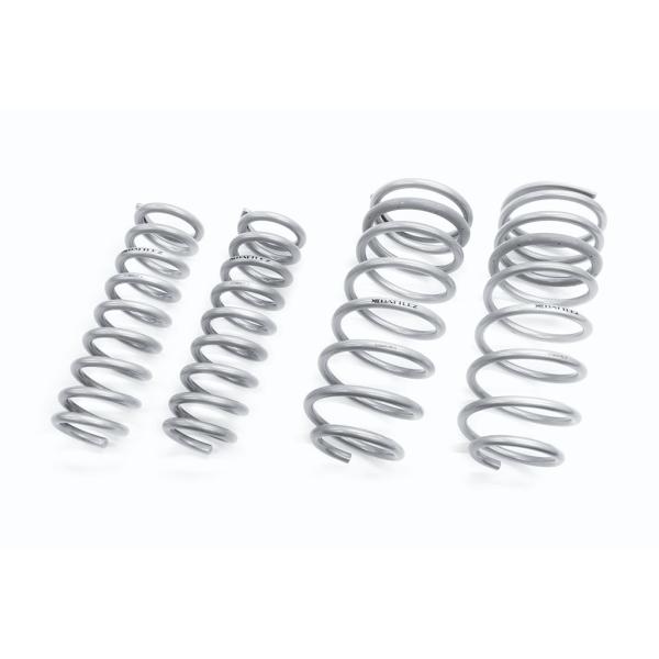 JAOS BATTLEZ ローダウンスプリング Ti-W ディーゼル車用 ランドクルーザー 300系...