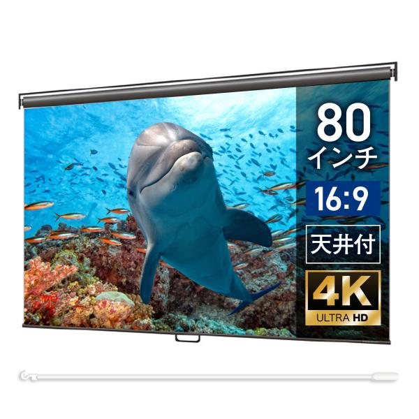 シアターハウス プロジェクタースクリーン スプリングスクリーン ケースなし (16：9) WIDE ...