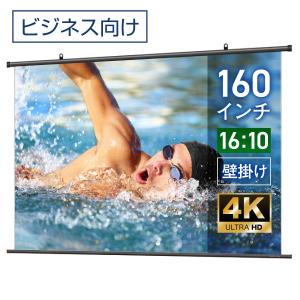 シアターハウス 電動プロジェクタースクリーン ケース付き (16：9) 100