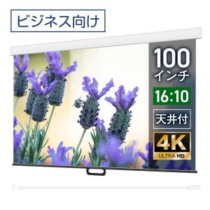 シアターハウス プロジェクタースクリーン スプリングスクリーン ケース付き (16：10) WXGA 100インチ マスクフリー 日本製 WCS2154FEHの商品画像