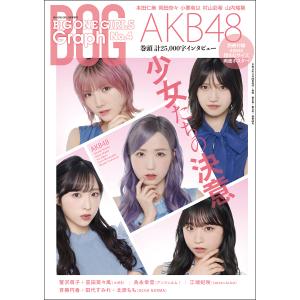 BIG ONE GIRLS Graph No.4【表紙：AKB48】【通常版】｜screenstore